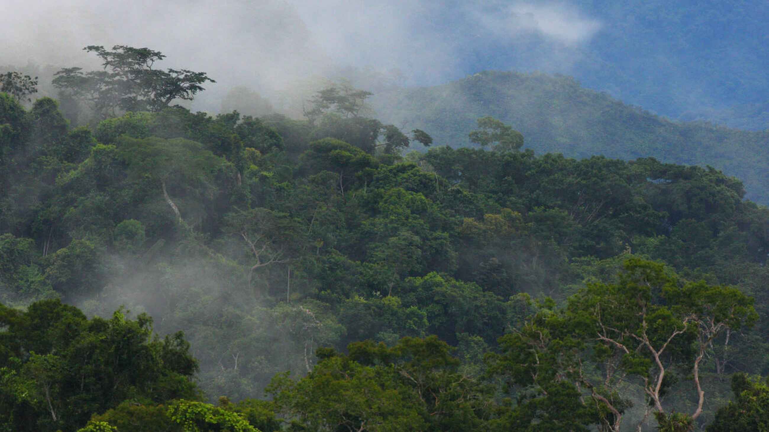 A 2025 Guide to the World's Most Untouched Rainforest